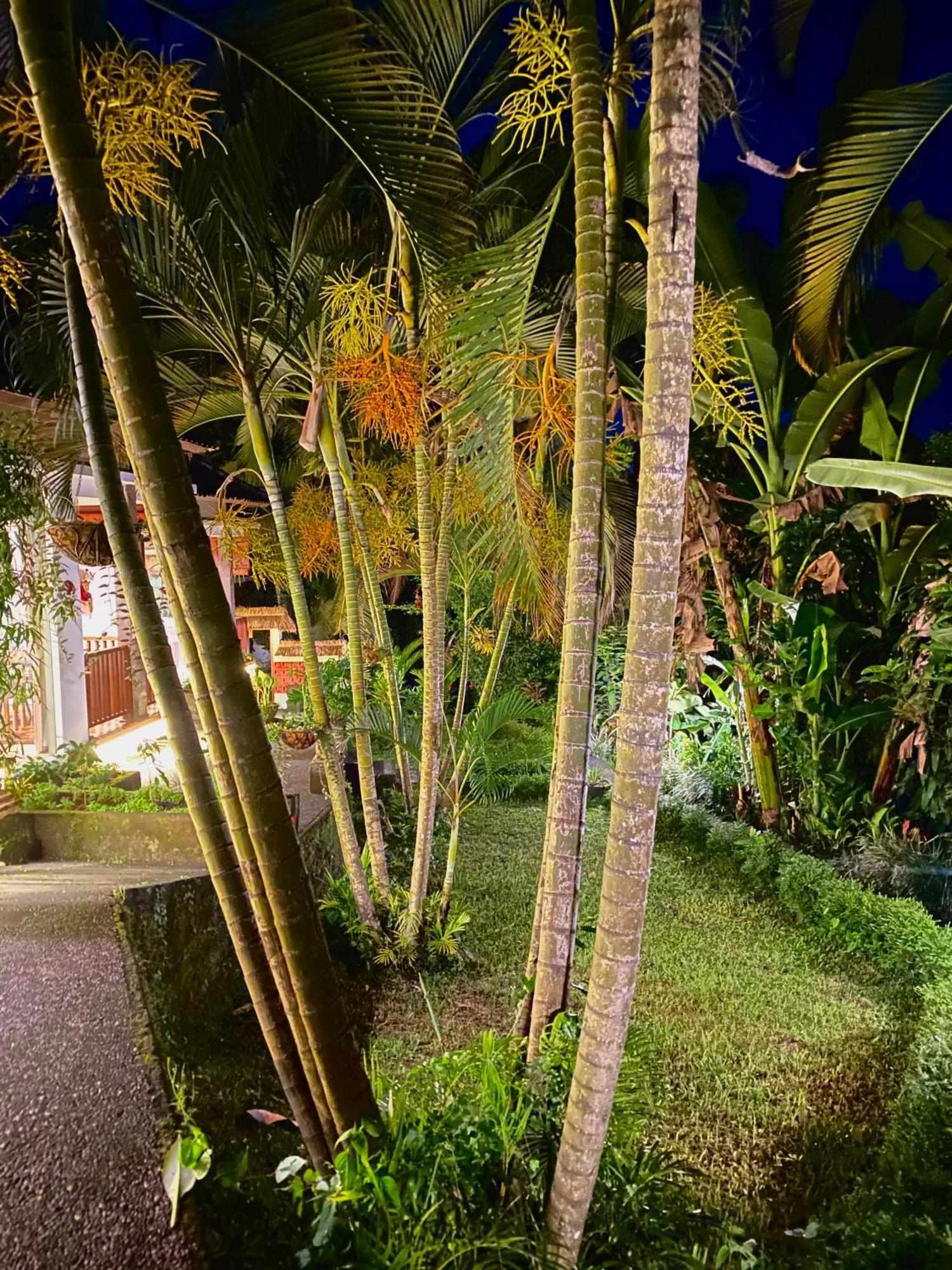 Ardan Maison Ubud Экстерьер фото